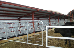 パドック改修③